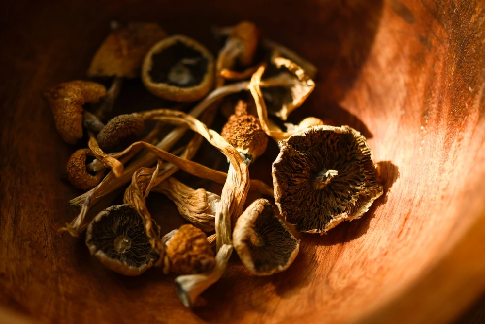 Gedroogde paddo's en truffels drugs in een houten kom.