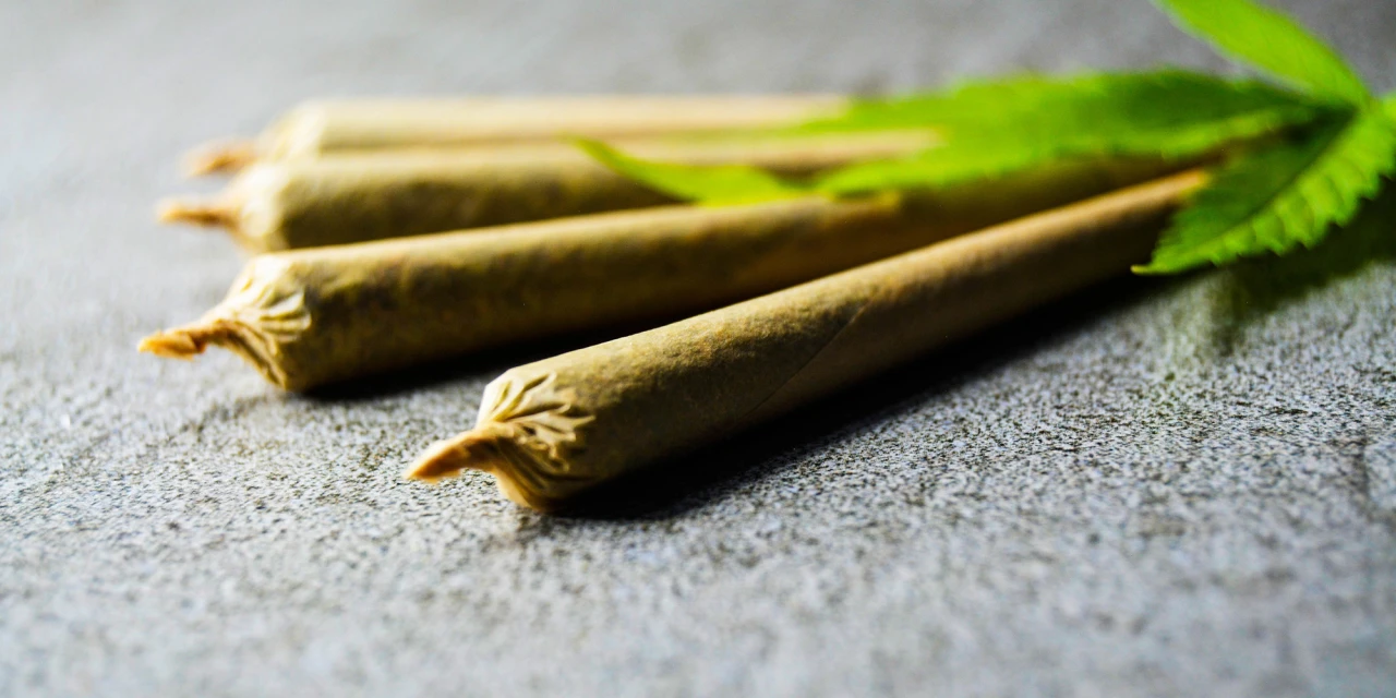 Drie joints naast een cannabisblad wat is cannabis uitgelegd visueel.