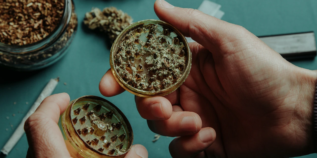 Handen openen grinder met cannabis en tonen gebruik bij cannabisverslaving.