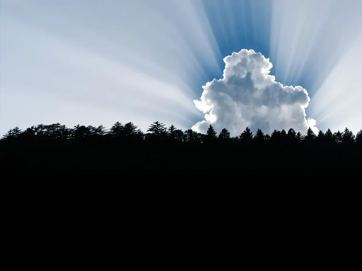 Donkere bomen met daarachter een grote wolk waar de zon achter schijnt.