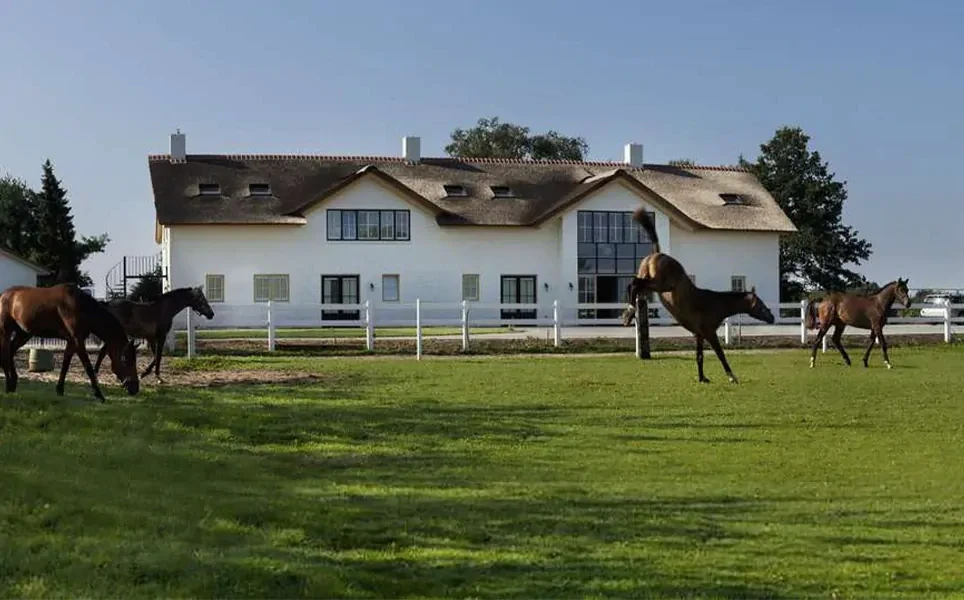 Afkickkliniek-Meerlo-weide-met-paarden Buitenzijde van de Connection SGGZ afkickkliniek in Meerlo, een wit pand met een wei met paarden.